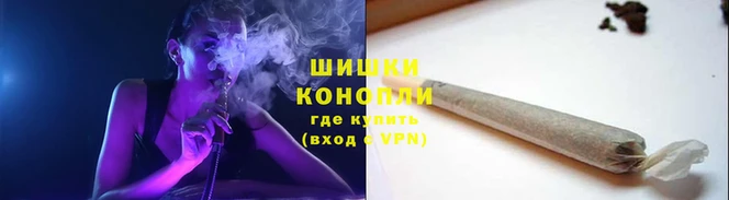 гашик Белоозёрский