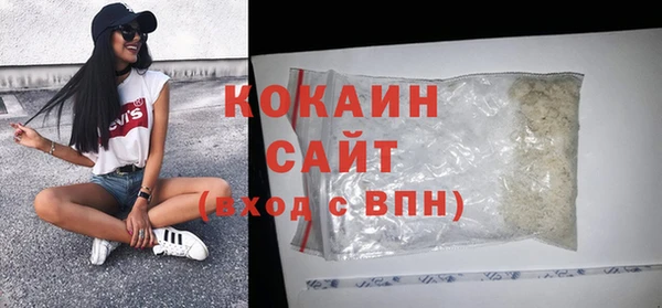 гашик Белоозёрский