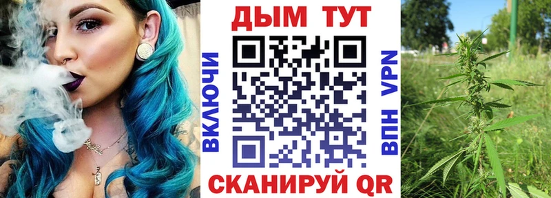 Бошки марихуана конопля  магазин продажи наркотиков  Онега 